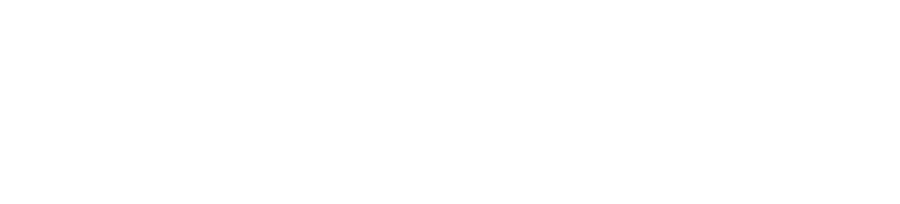 Citizen Centric by Politis